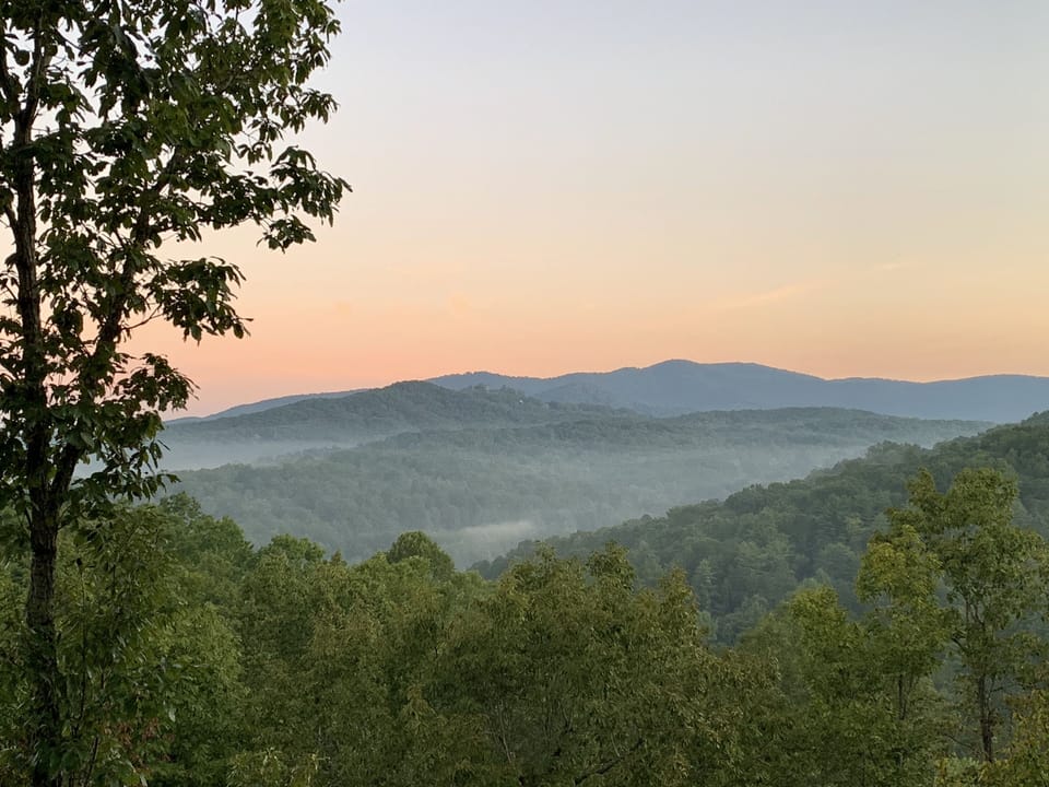 view out back