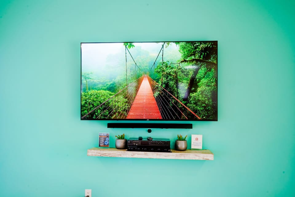 Television