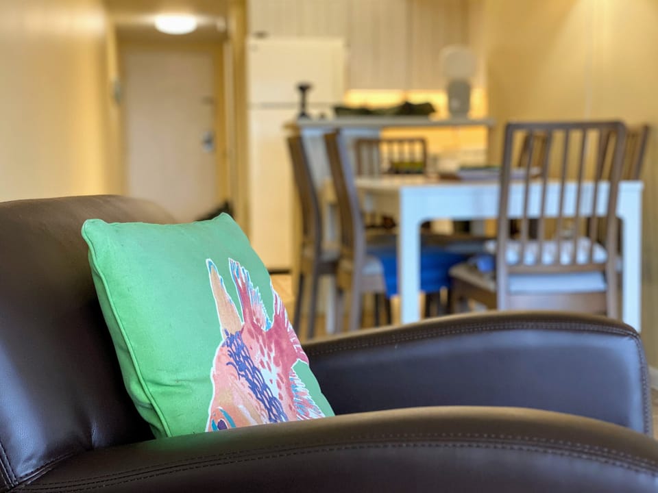 Living room with sofa sleeper