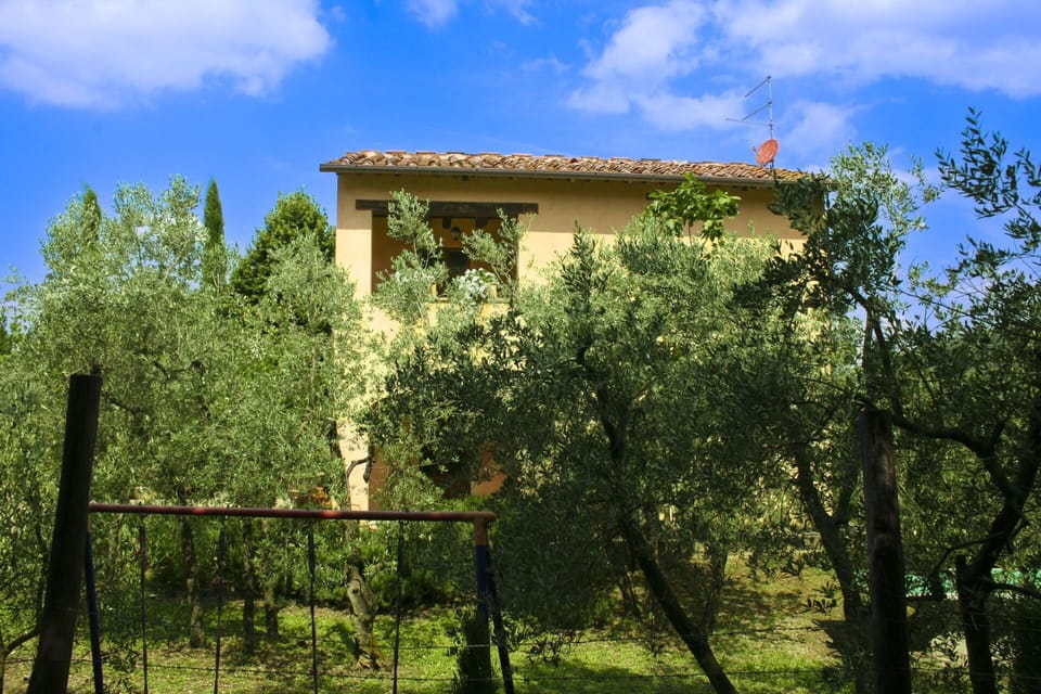 Tree, Leaf, Vegetation, Shrub, Land Lot, Home, Rural Area, Spring, Cottage, Garden