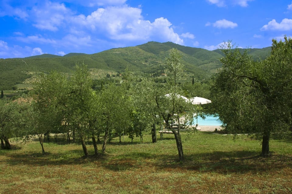 Mountainous Landforms, Nature, Vegetation, Mountain, Hill, Hill Station, Mountain Range, Meadow, Valley, Pasture