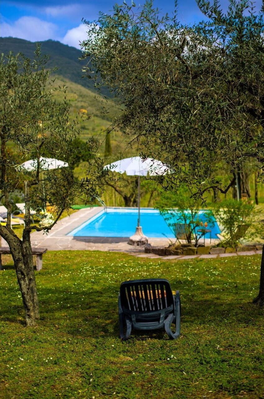 Swimming Pool, Leisure, Outdoor Furniture, Garden, Eco Hotel, Resort, Shade, Backyard, Farmhouse, Landscaping