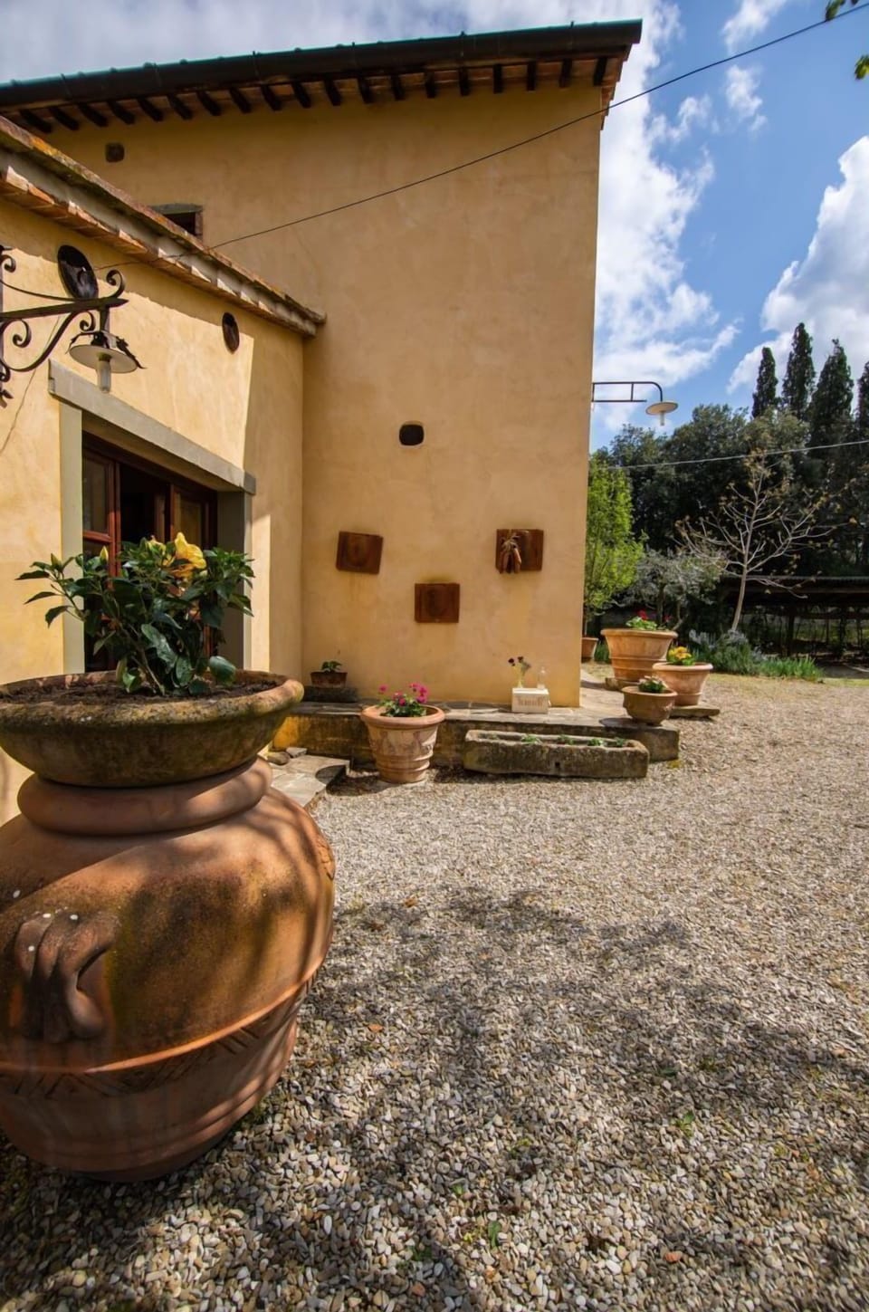 Plant, Property, Flowerpot, Window, Sky, Cloud, Building, Couch, Houseplant, Wood
