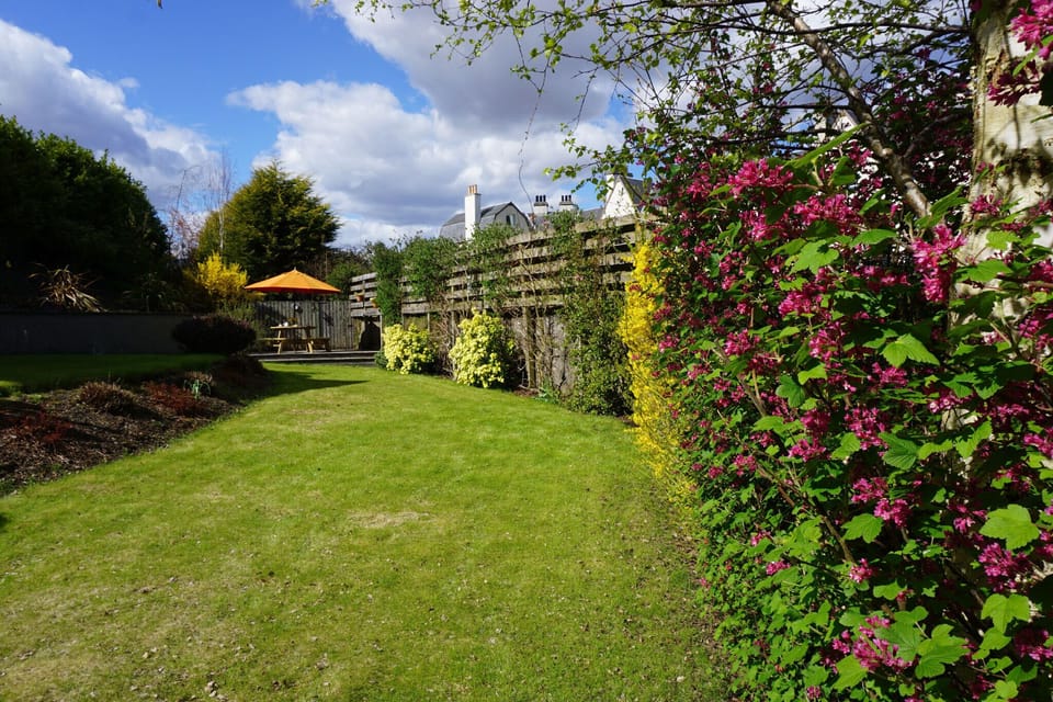 back garden
