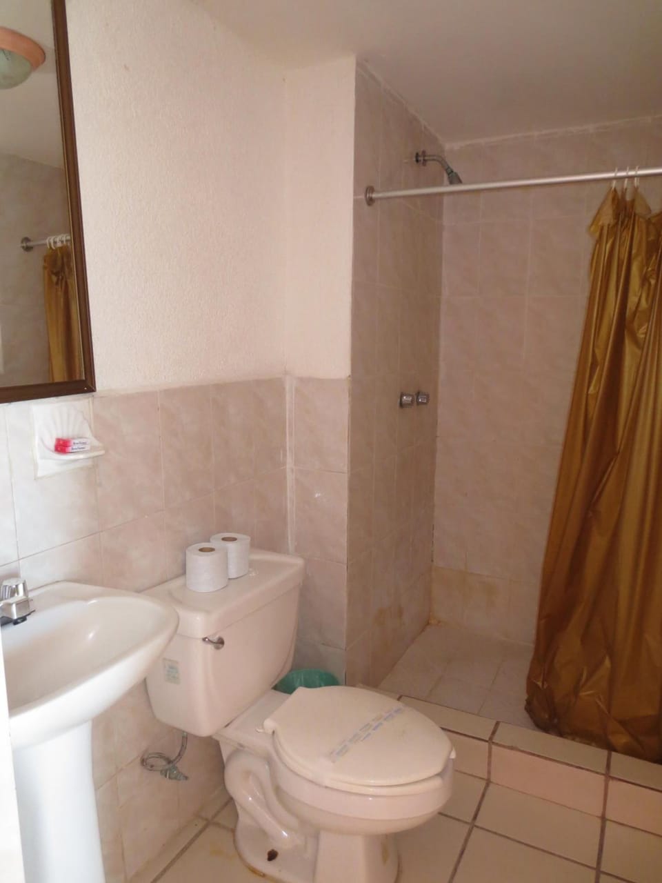 Shower, towels, soap, toilet paper
