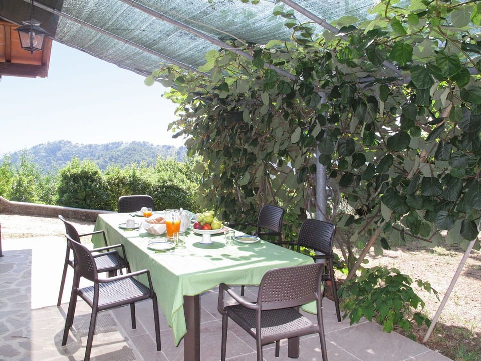 Property, Table, House, Room, Real Estate, Building, Patio, Outdoor Table, Tree, Furniture
