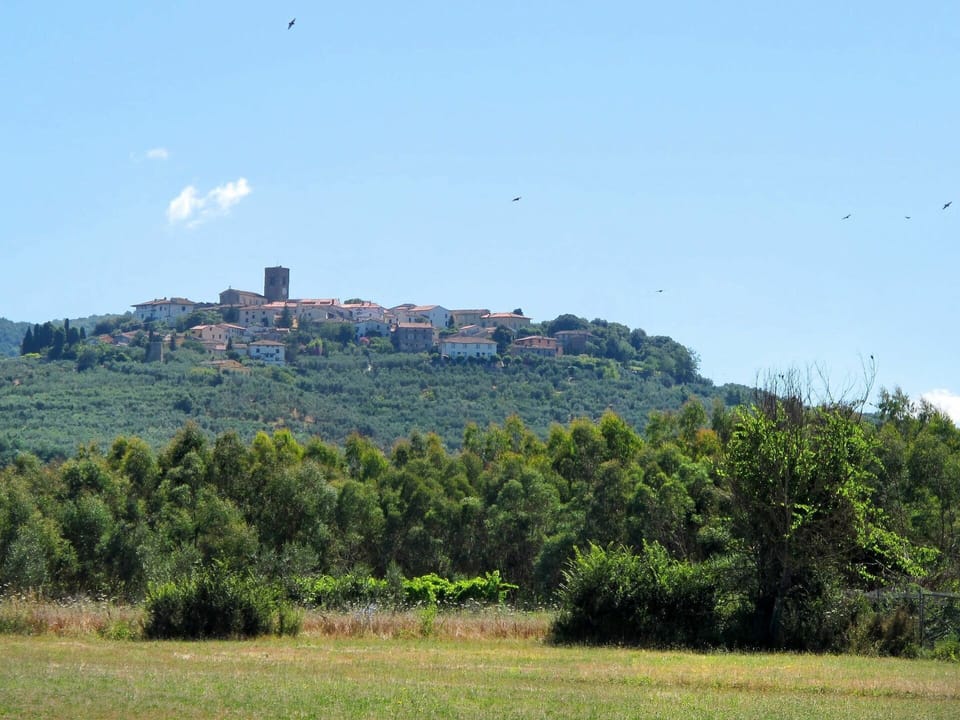 Vegetation, Sky, Natural Landscape, Hill, Land Lot, Tree, Grass, Grass Family, Meadow, Rural Area