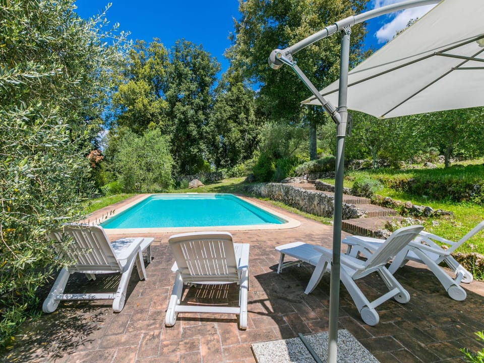 Plant, Property, Furniture, Water, Swimming Pool, Blue, Nature, Shade, Azure, Chair