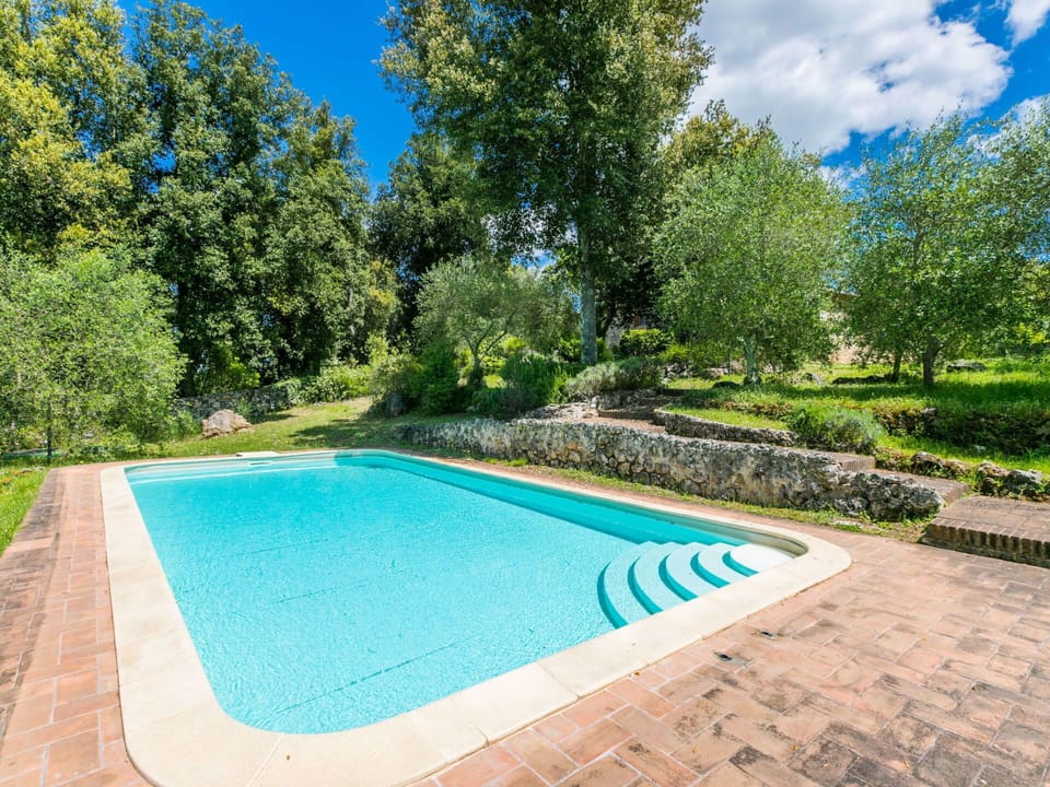 Water, Plant, Property, Cloud, Sky, Blue, Azure, Green, Swimming Pool, Shade