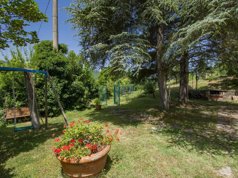 Plant, Flower, Plant Community, Flowerpot, Leaf, Tree, Houseplant, Natural Landscape, Vegetation, Grass