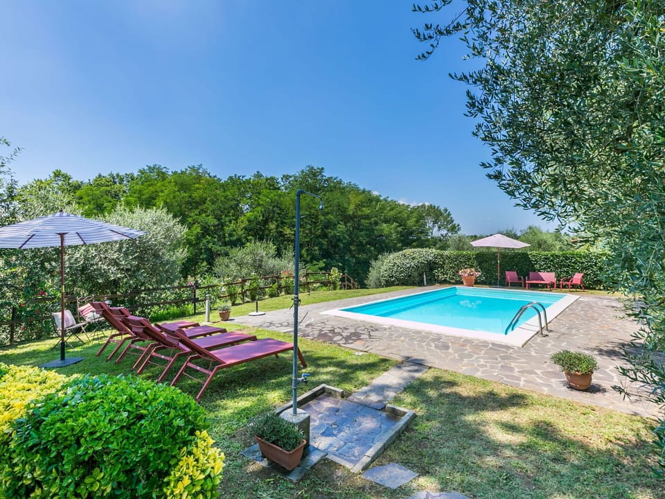 Plant, Water, Sky, Swimming Pool, Shade, Outdoor Furniture, Tree, Umbrella, Grass, Leisure