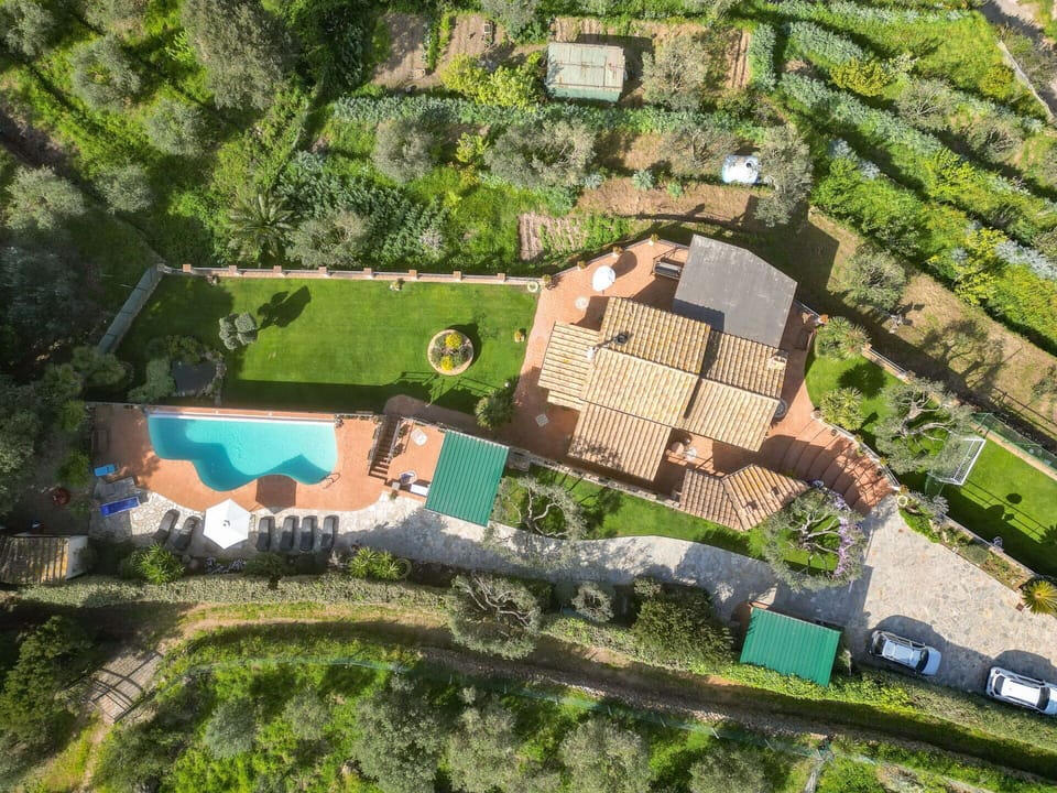Estate, Garden, Landscaping, Hacienda, Eco Hotel, Villa, Plantation, Swimming Pool, Yard, Resort