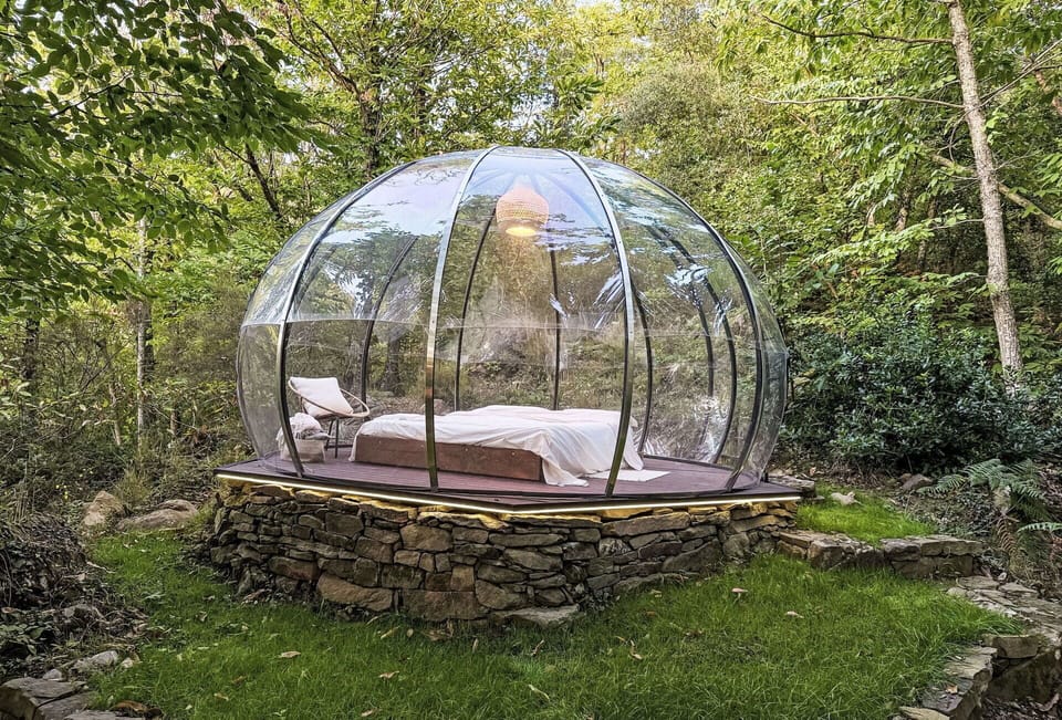 Camping, Mosquito Net, Forest, Woodland, Tent, Natural Material, Jungle, Dome, Canopy Bed