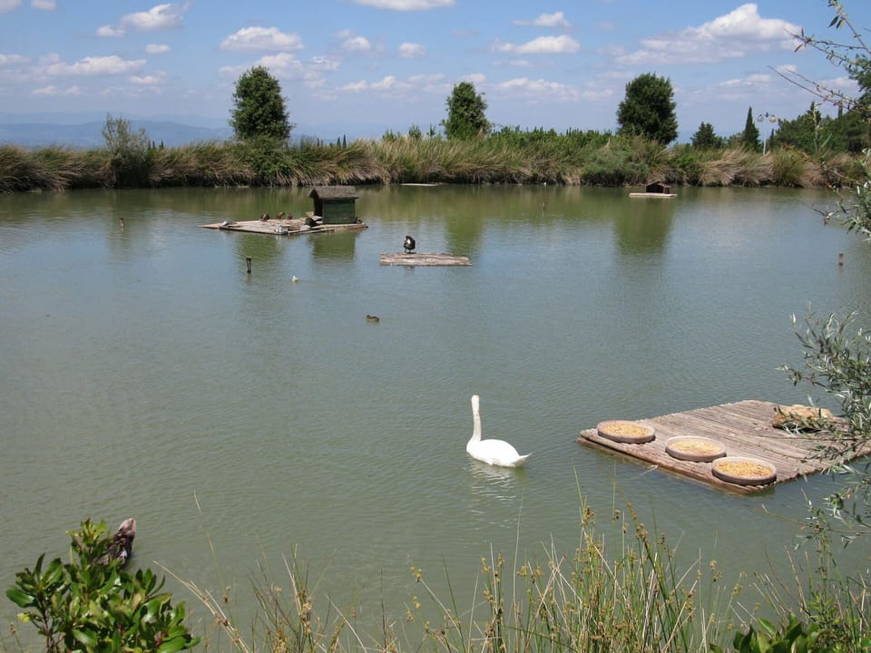 Body Of Water, Water Resources, Natural Landscape, Water, Pond, Bank, Reservoir, Nature Reserve, Lake