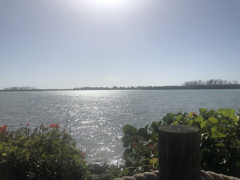 The ocean Beach access