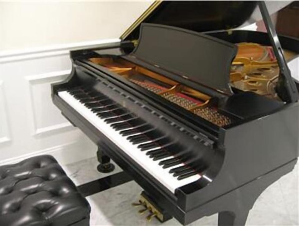 You don't need to know how to play to listen to your Steinway!