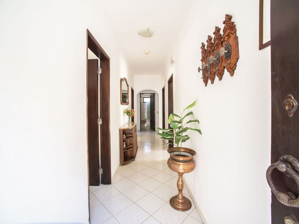 Property, Plant, Houseplant, Picture Frame, Flowerpot, Lighting, Building, Interior Design, Wood, Floor