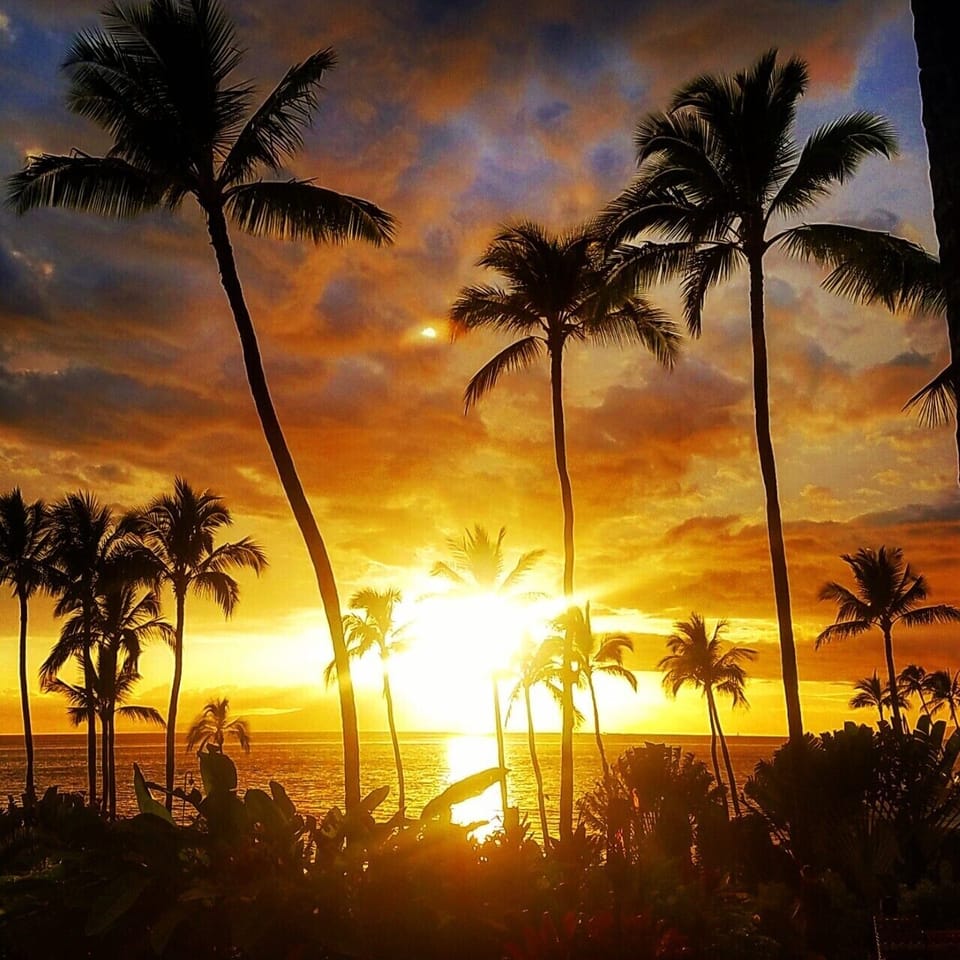 One of Maui's famous sunsets. 
