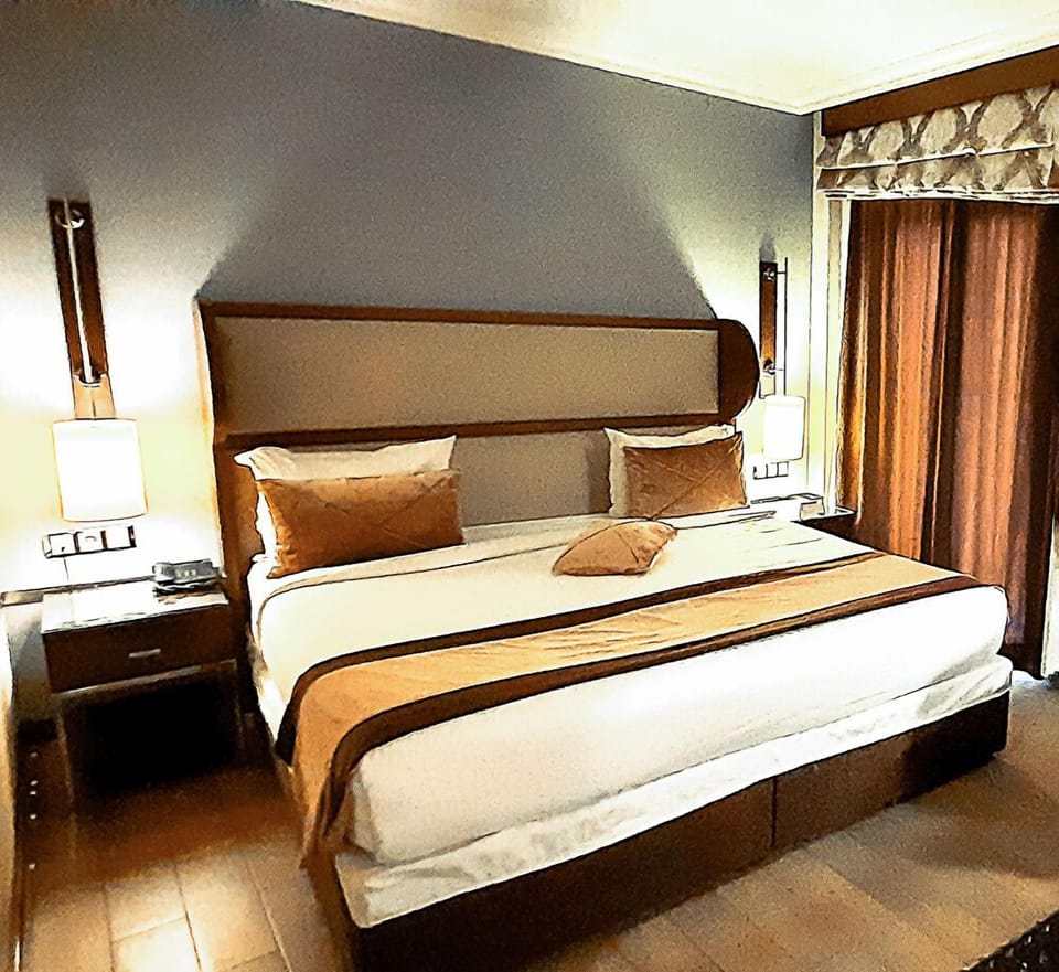 Double Room, 1 King Bed | Television