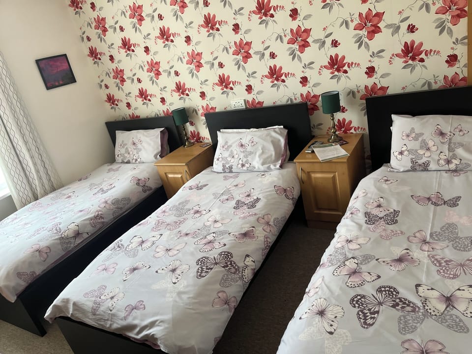 Basic Triple Room, 3 Twin Beds | Minibar, individually decorated, individually furnished, desk