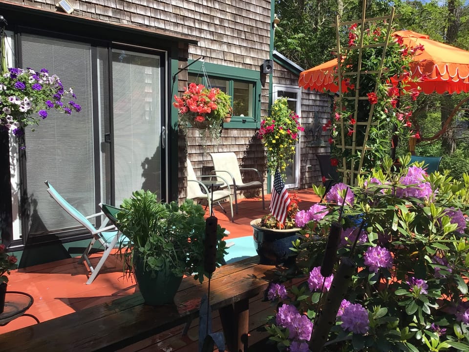 Deck, full of flowers round table for 6, addl chairs and recliners, new gas gril