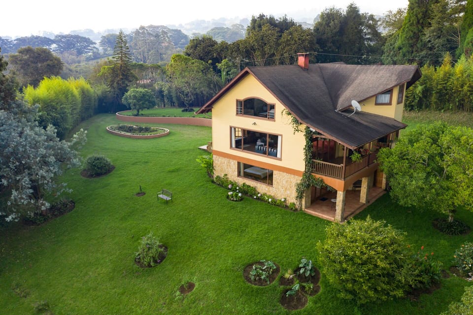 Birds eye view of house.