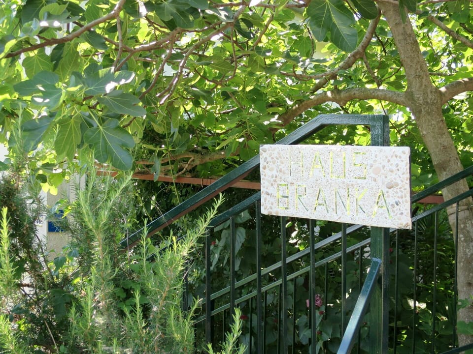 Botany, Branch, Twig, Plant, Terrestrial Plant, Tree, Grass, Groundcover, Metal, Signage