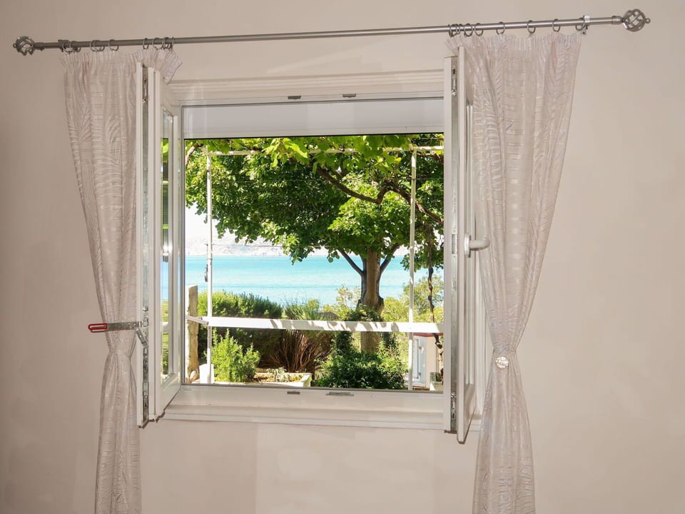 Window, Plant, Water, Wood, Shade, Curtain, Interior Design, Houseplant, Building