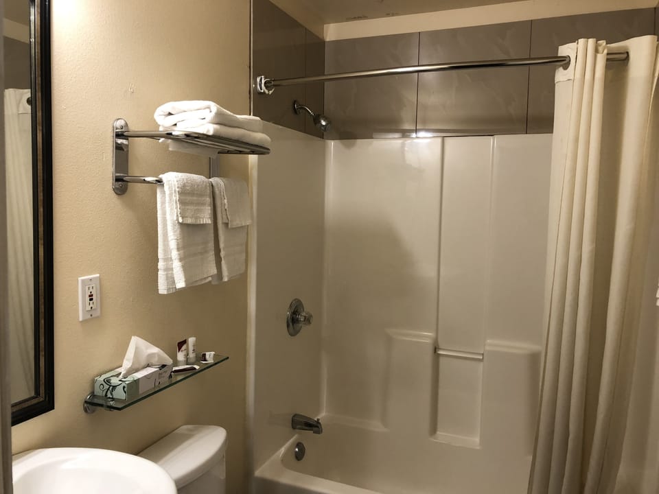 Shower, free toiletries, hair dryer, towels