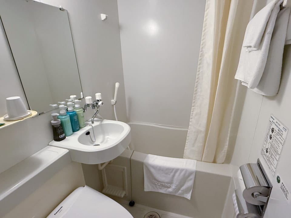 Hair dryer, slippers, electronic bidet, towels