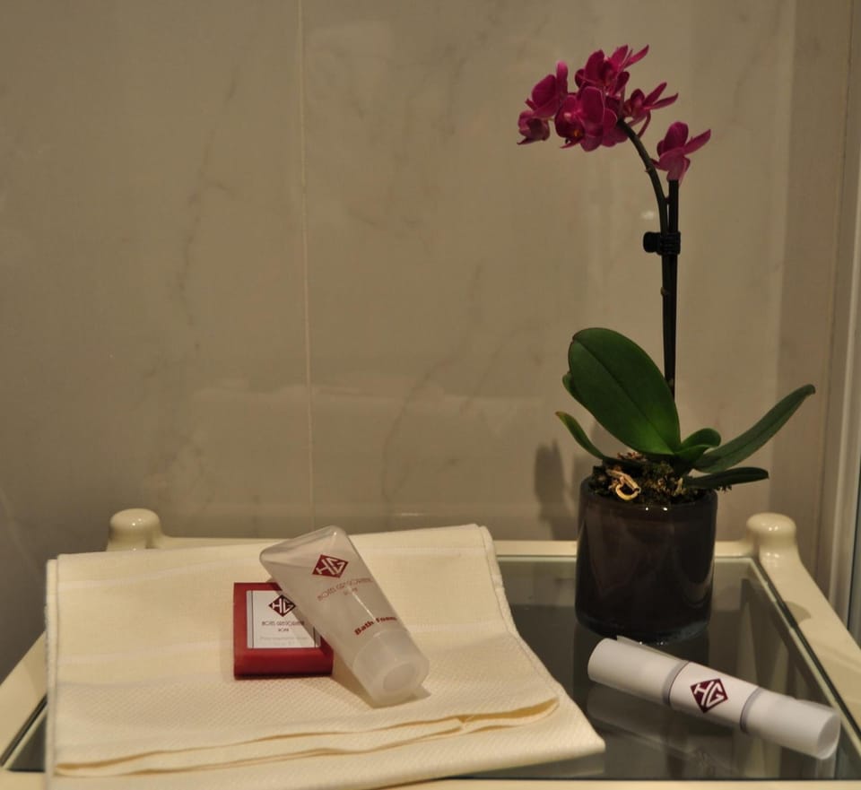 Designer toiletries, hair dryer, slippers, bidet