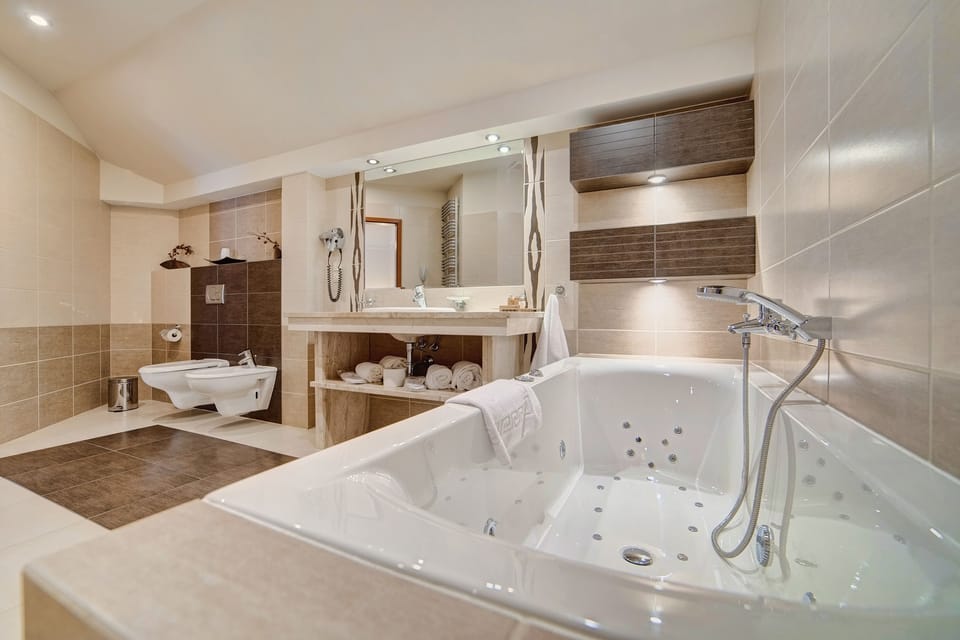 Deluxe Apartment | Bathroom | Shower, free toiletries, hair dryer, bathrobes