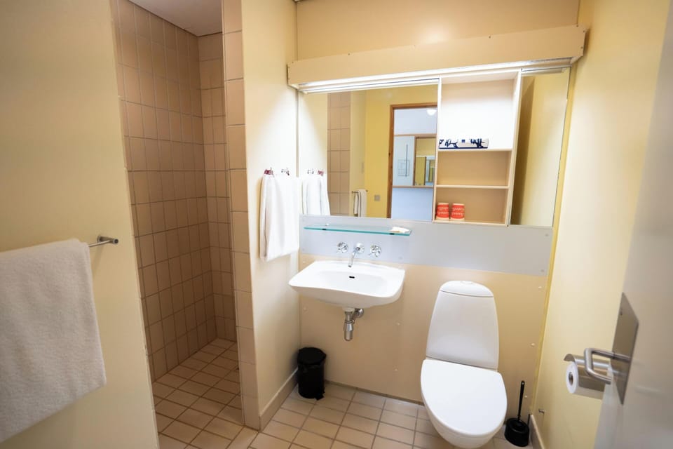 Shower, free toiletries, hair dryer, towels