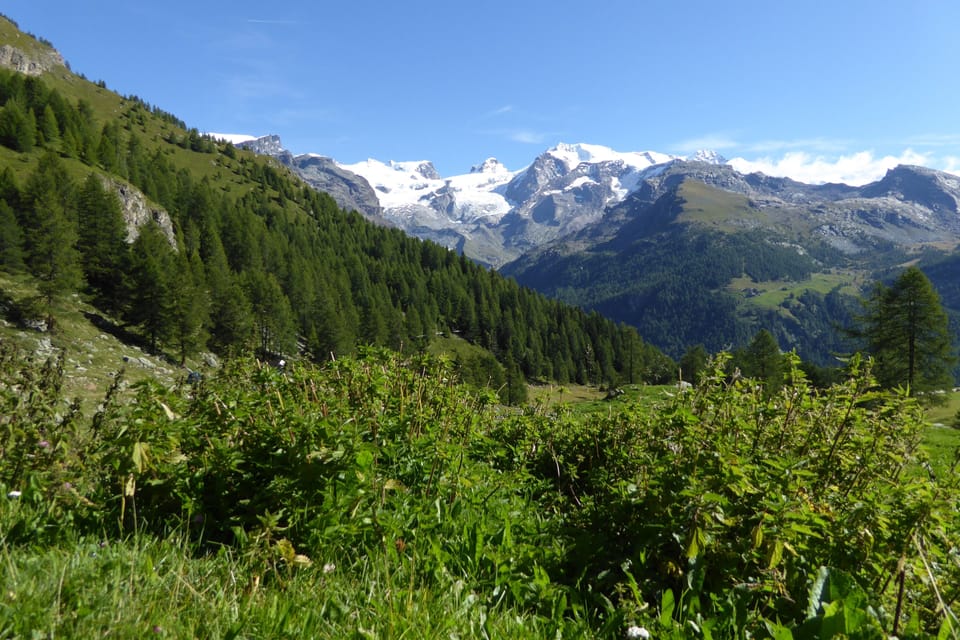 Mountain view