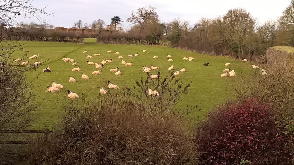 Deluxe Triple Room, Ensuite, Garden View (FarmhouseRoom) | View from property