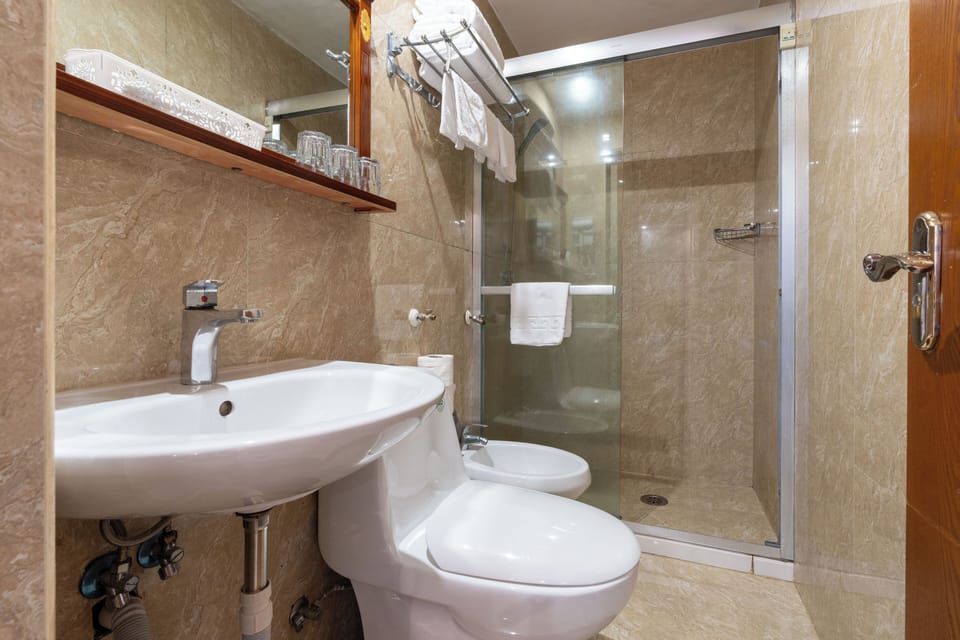 Standard Triple Room | Bathroom | Shower, free toiletries, hair dryer, bathrobes