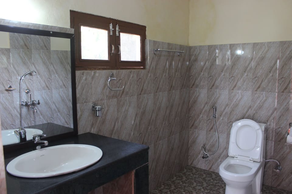 Shower, hair dryer, slippers, bidet