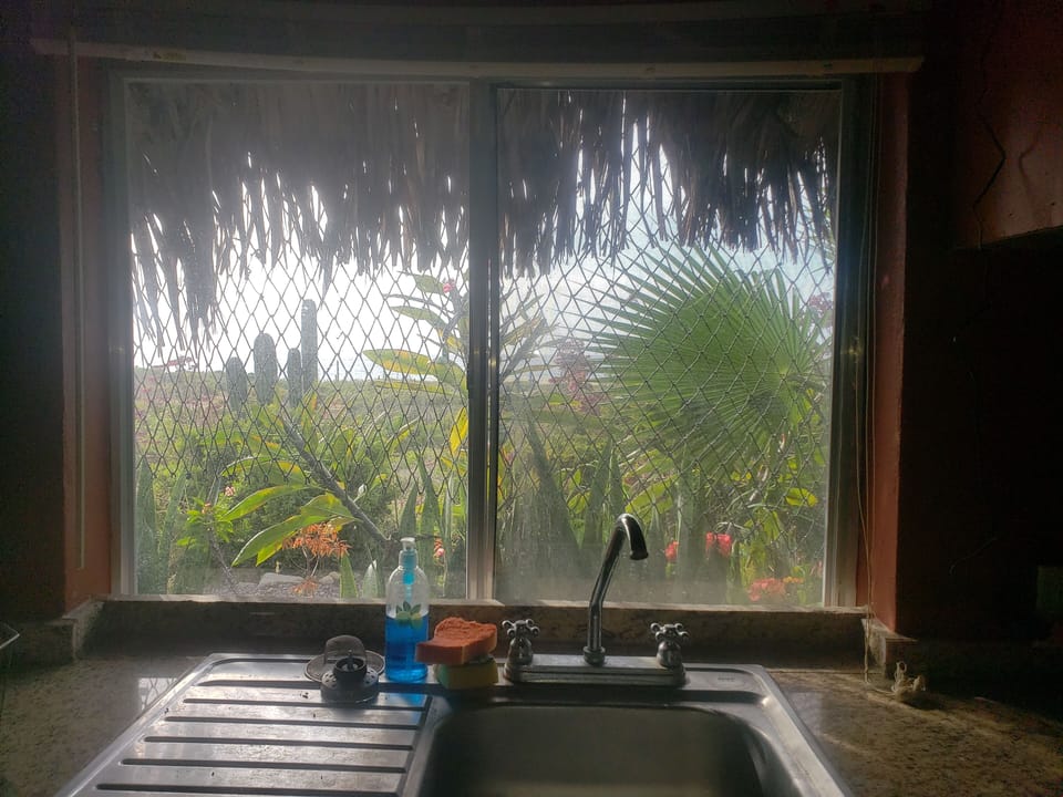 Kitchen view