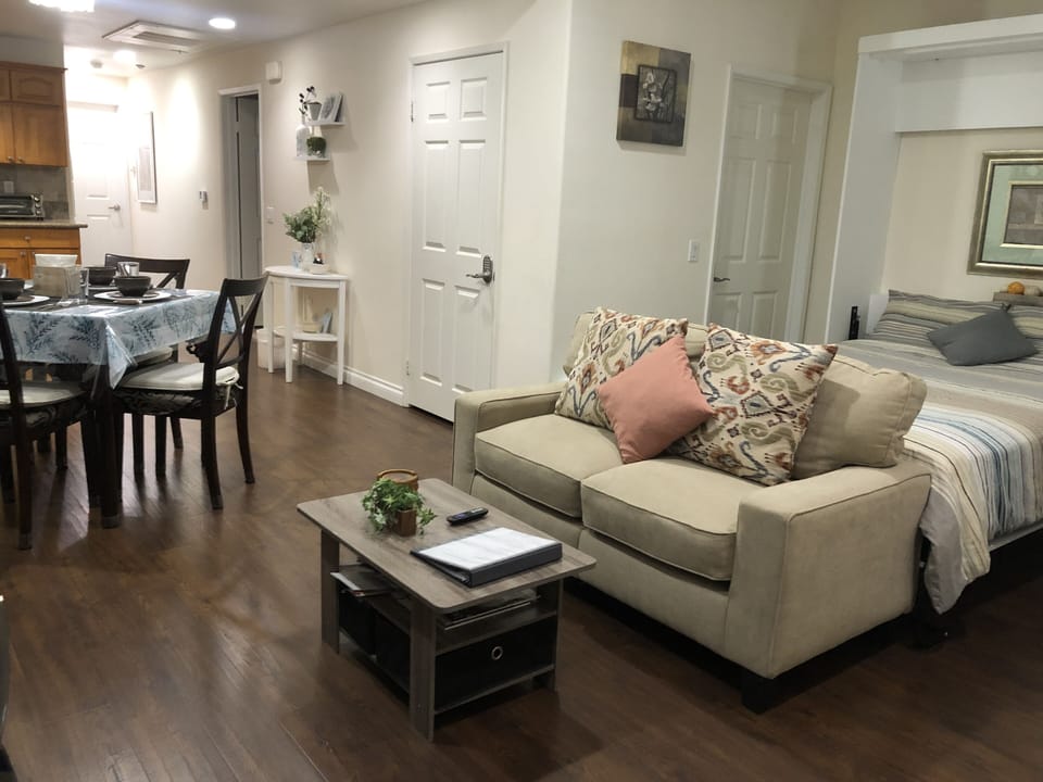 Living Room with Murphy Bed (firm Queen size mattress, not a foldable mattress)