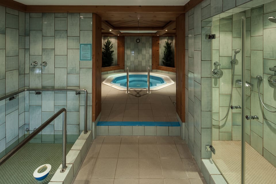 Sauna, hot tub, steam room