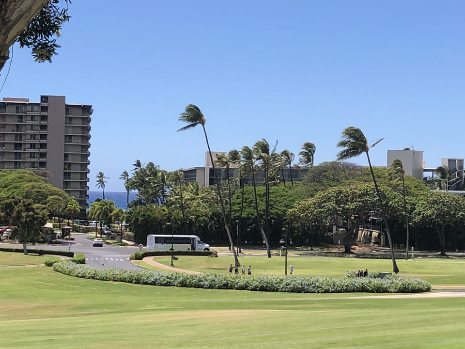 Whaler's Village is directly across the golf course