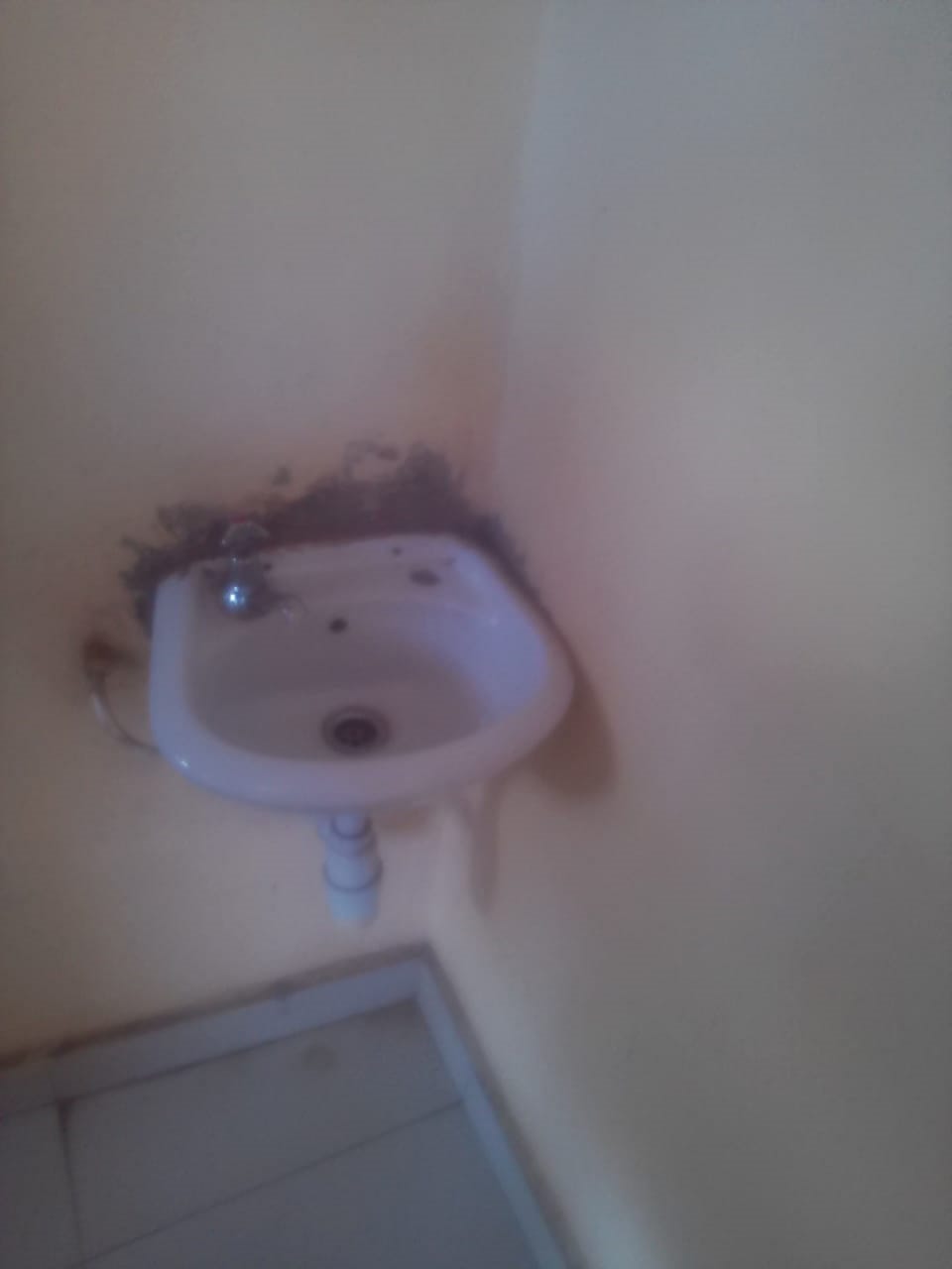 Bathroom sink