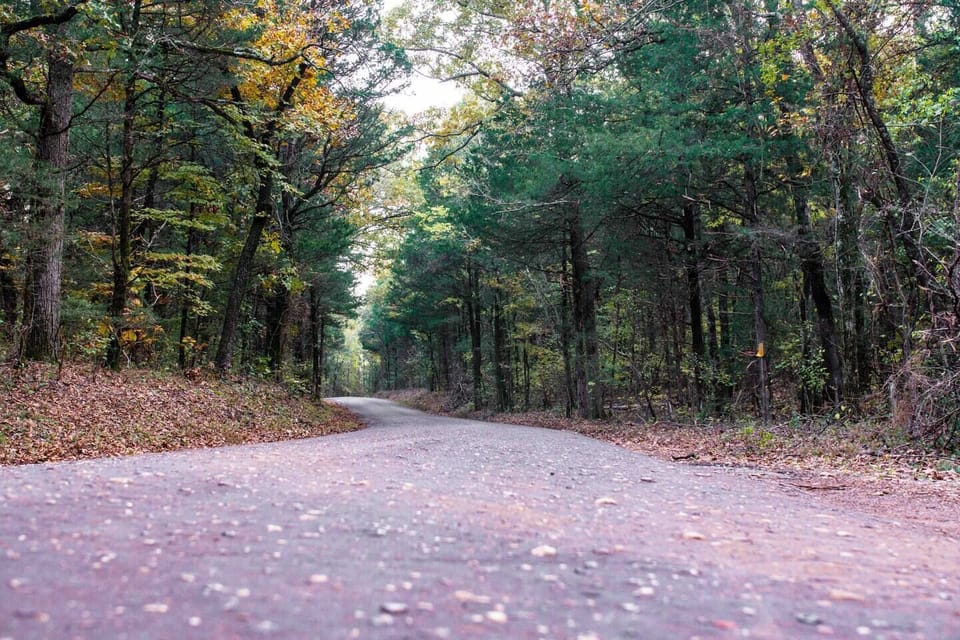 Follow our winding County Road 1.2 miles off Hwy 64, & short drive to Tyler, Canton, Edom, Texas Rose Horse Park, Canton First Monday...