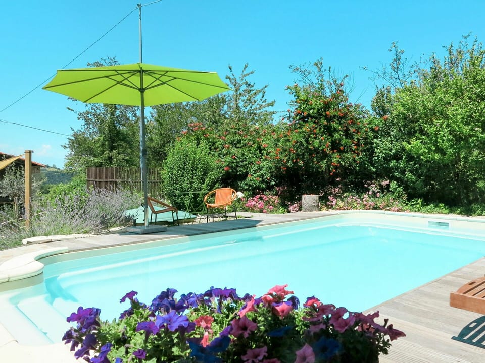Water, Plant, Flower, Property, Botany, Swimming Pool, Nature, Azure, Rectangle, Outdoor Furniture