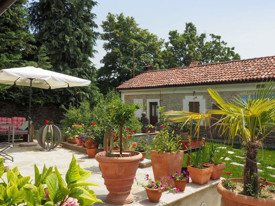 Plant, Flower, Property, Window, Building, Plant Community, Sky, Flowerpot, House, Botany