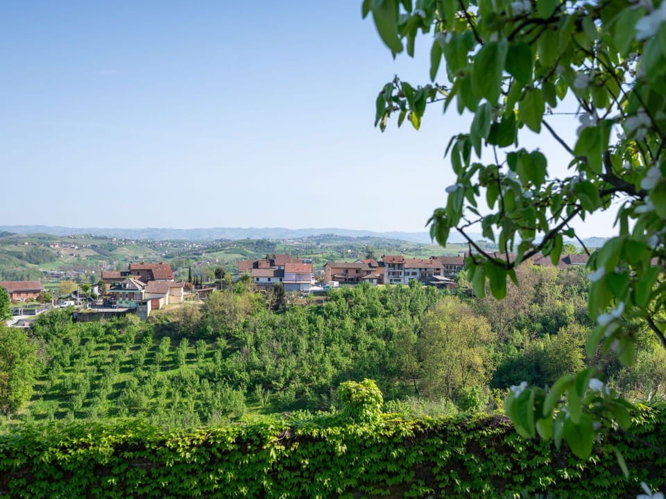 Sky, Plant, Plant Community, Natural Landscape, Land Lot, Tree, Grass, Woody Plant, Landscape, Agriculture