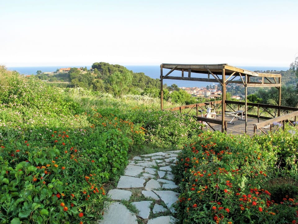 Flower, Sky, Plant, Plant Community, Natural Landscape, Land Lot, Tree, Outdoor Furniture, Grass, Shade