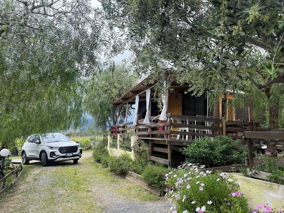 Cottage, Garden, Shade, Yard, Outdoor Structure, Backyard, Garden Buildings
