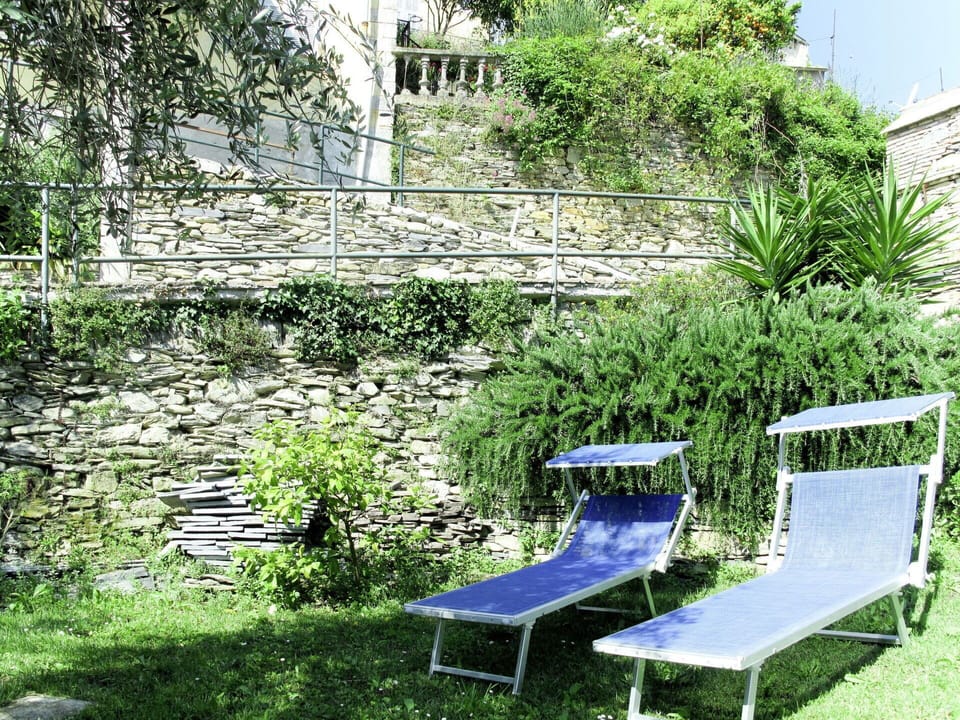 Plant, Outdoor Bench, Green, Outdoor Furniture, Natural Landscape, Chair, Grass, Rectangle, Shrub, Tree