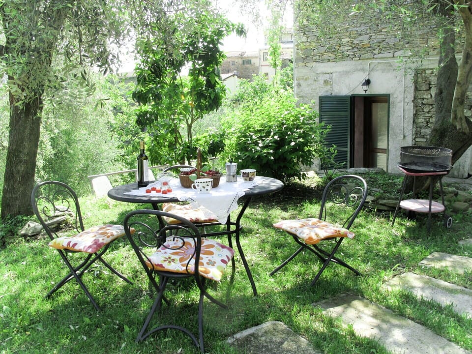 Yard, Backyard, Property, Table, Garden, Patio, Furniture, Outdoor Table, Grass, Tree